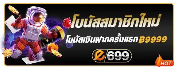 e699 ทางเข้า