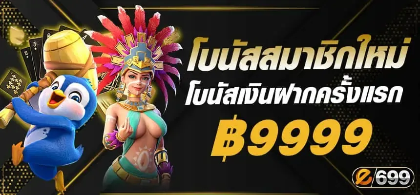 ทาง เข้า e699